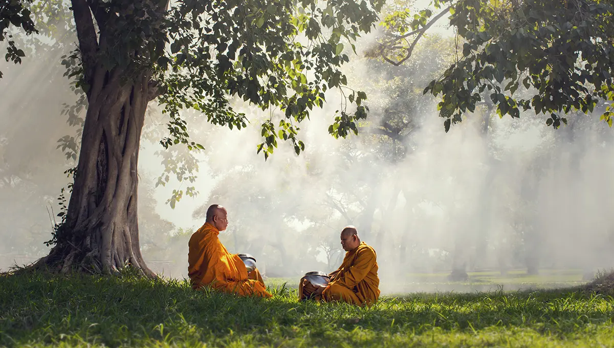 Two monks meditation under the trees with sun ray, Buddha religion concept
