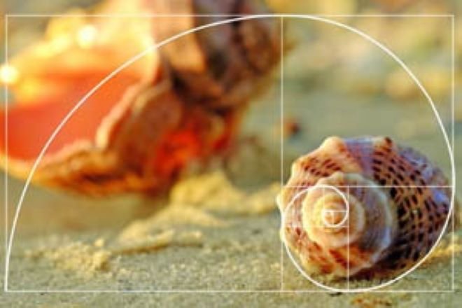 Fibonacciho postupnosť v prírode