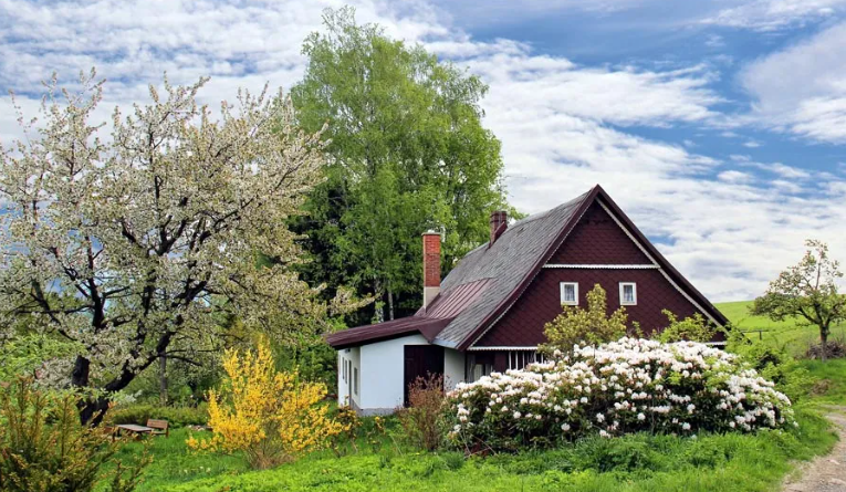 Čím viac stromov je v okolí vášho domova, tým nižší je výskyt chorôb srdca, krvného obehu, cukrovky a ďalších typických civilizačných chorôb.