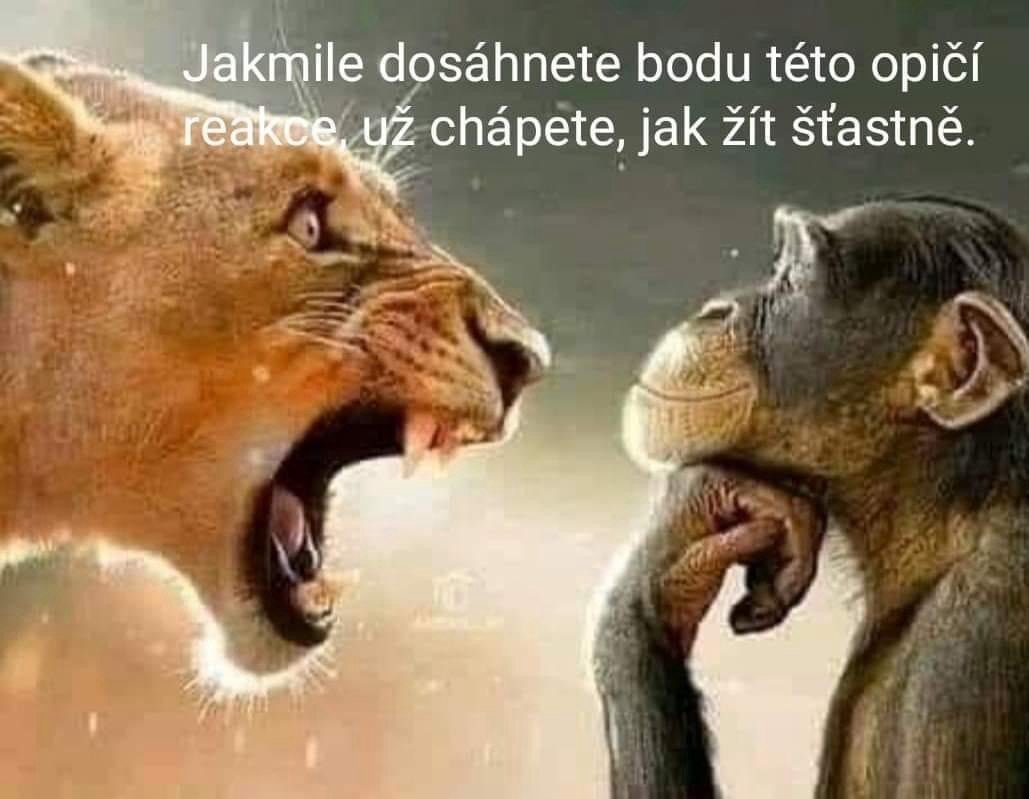 Nedotknuteľná pozícia Pozorovateľa